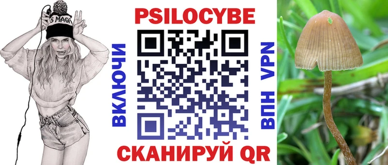 гидра рабочий сайт  Черногорск  Галлюциногенные грибы мухоморы 